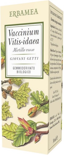 VACCINIUM VITIS IDAEA MIRTILLO ROSSO BIO 50 ML - Farmacia-flash.it