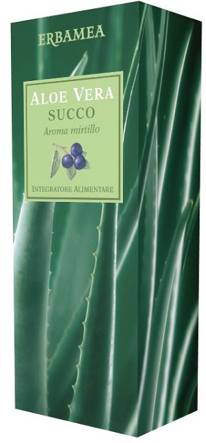 ALOE VERA SUCCO MIRTILLO 500 ML - Farmacia-flash.it