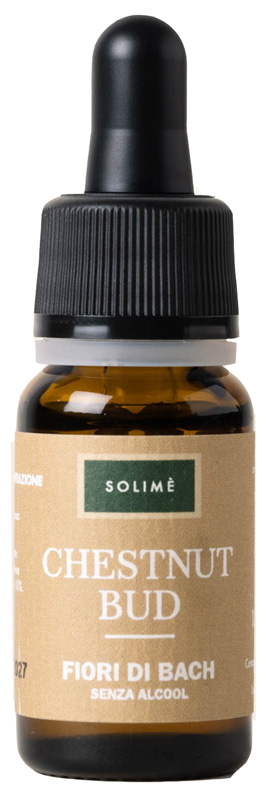 CHESTNUT BUD 10 ML - Farmacia-flash.it