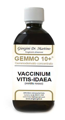 GEMMO 10+ MIRTILLO ROSSO LIQUIDO ANALCOLICO 500 ML - Farmacia-flash.it