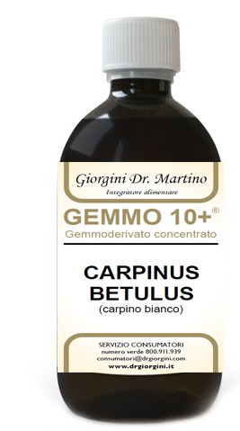 GEMMO 10+ CARPINO BIANCO 500 ML LIQUIDO ANALCOLICO - Farmacia-flash.it
