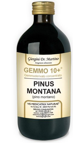 GEMMO 10+ GEMMODERIVATO CONCENTRATO LIQUIDO ANALCOLICO PINUS MONTANA PINO MONTANO 500 ML - Farmacia-flash.it