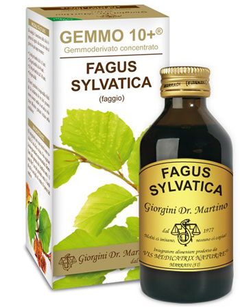 GEMMO 10+ FAGGIO 100 ML LIQUIDO ANALCOLICO - Farmacia-flash.it