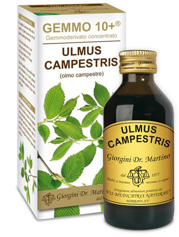 GEMMO 10+ OLMO CAMPESTRE 100 ML LIQUIDO ANALCOLICO - Farmacia-flash.it