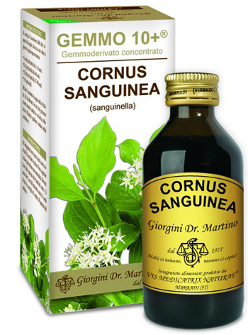GEMMO 10+ SANGUINELLA 100 ML LIQUIDO ANALCOLICO - Farmacia-flash.it
