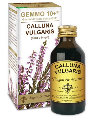 GEMMO 10+ ERICA O BRUGO 100 ML LIQUIDO ANALCOLICO - Farmacia-flash.it