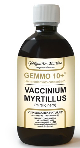 GEMMO 10+ MIRTILLO NERO LIQUIDO ANALCOLICO 500 ML - Farmacia-flash.it
