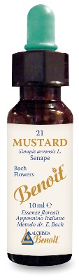 FIORI DI BACH BENOIT MUSTARD 10 ML - Farmacia-flash.it