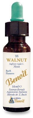 FIORI DI BACH BENOIT WALNUT 10 ML - Farmacia-flash.it