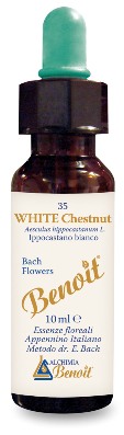 FIORI DI BACH BENOIT WHITE CHESTNUT 10 ML - Farmacia-flash.it