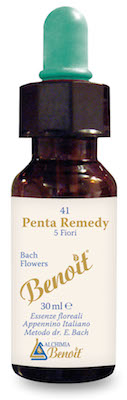 PENTA REMEDY BENOIT 30 ML - Farmacia-flash.it