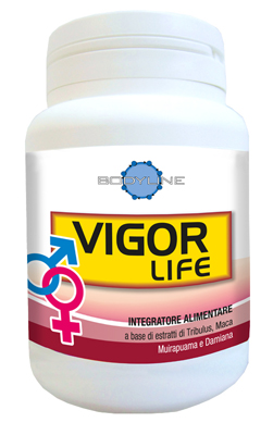 VIGOR LIFE 40 CAPSULE - Farmacia-flash.it
