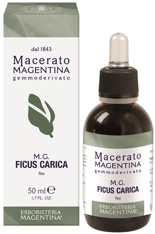 FICUS CARICA MACERATO MAGENTINA 50 ML - Farmacia-flash.it