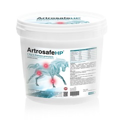 ARTROSAFE HP POLVERE GRANULARE 2 KG - Farmacia-flash.it