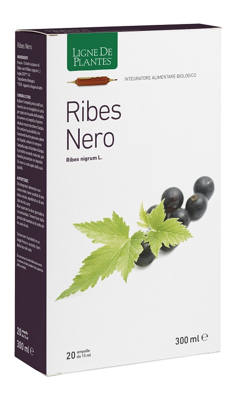 RIBES NERO BIOLOGICO 20 AMPOLLE BEVIBILI DA 15 ML - Farmacia-flash.it