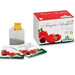 INFUSO FRAGOLA/LAMPONE 20 FILTRI - Farmacia-flash.it