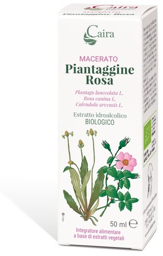 CAIRA PIANTAGGINE ROSA MACERATO IDROALCOLICO GOCCE 50 ML - Farmacia-flash.it