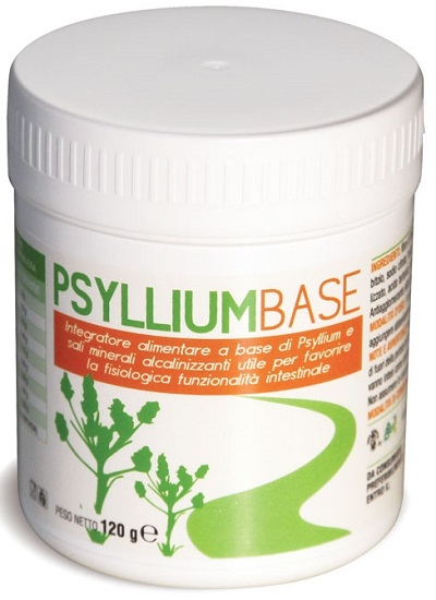 PSYLLIUM BASE POLVERE 120 G - Farmacia-flash.it