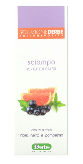 DERBE SHAMPOO ANTI UNTUOSITA - Farmacia-flash.it