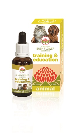 TRAINING & EDUCATION 30 ML - Farmacia-flash.it