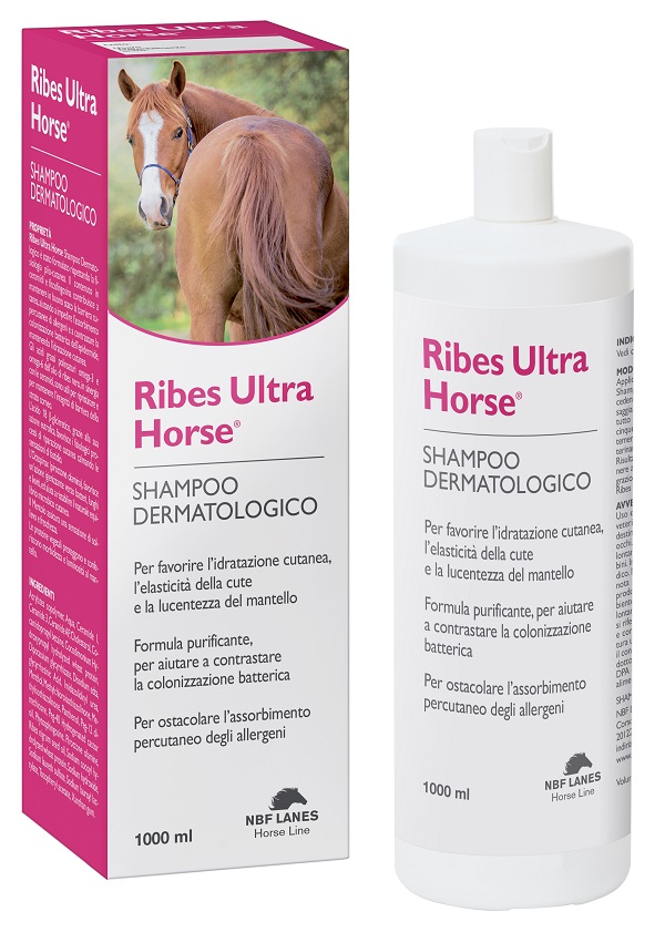 RIBES HORSE ULTRA SHAMPOO DERMATOLOGICO 1 LITRO - Farmacia-flash.it