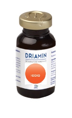 DRIAMIN IODIO 10 FLACONCINI 15 ML - Farmacia-flash.it