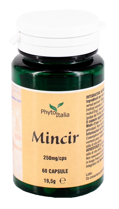 MINCEUR AYURVED 60 CAPSULE - Farmacia-flash.it