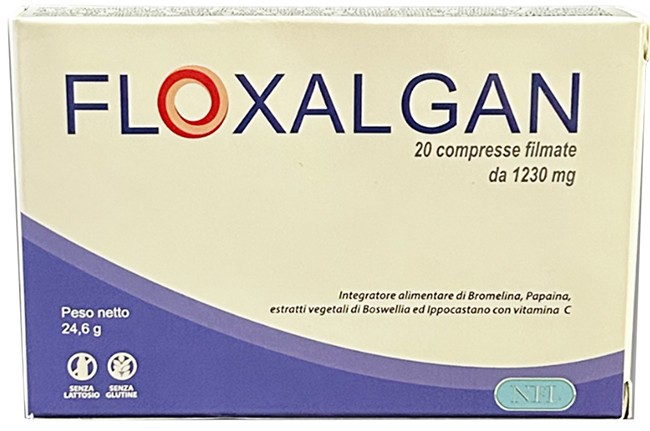 FLOXALGAN 20 COMPRESSE RIVESTITE DA 1,02 G - Farmacia-flash.it