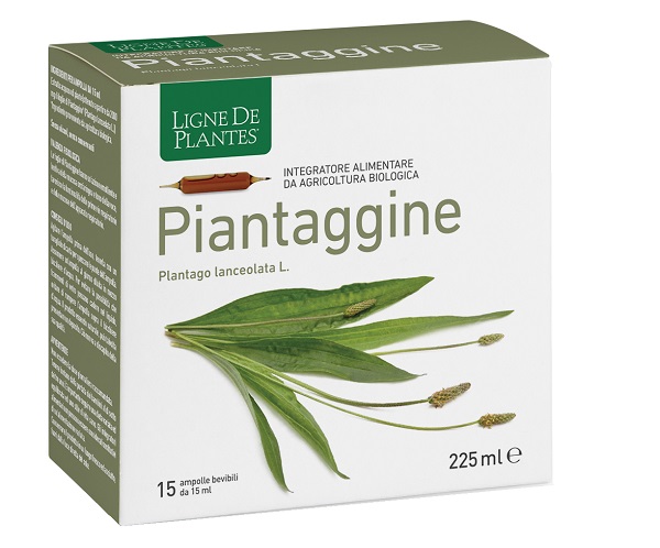PIANTAGGINE 15 AMPOLLE BEVIBILI 15 ML - Farmacia-flash.it