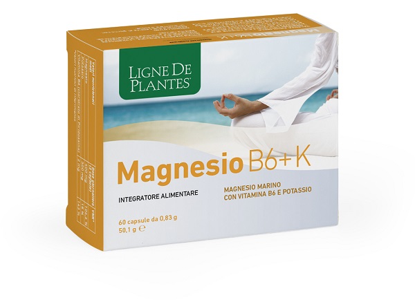 MAGNESIO B6 + K 60 CAPSULE - Farmacia-flash.it