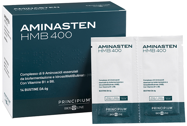 PRINCIPIUM AMINASTEN HMB400 14 BUSTINE 6 G - Farmacia-flash.it