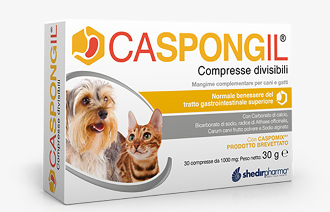 CASPONGIL 30 COMPRESSE DIVISIBILI - Farmacia-flash.it