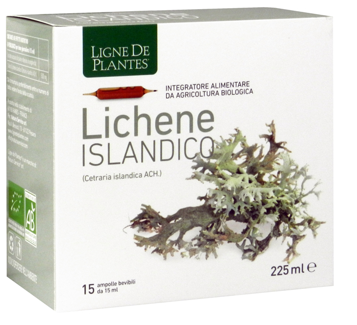 LIGNE DE PLANTES LICHENE ISLANDICO 15 AMPOLLE X 15 ML - Farmacia-flash.it