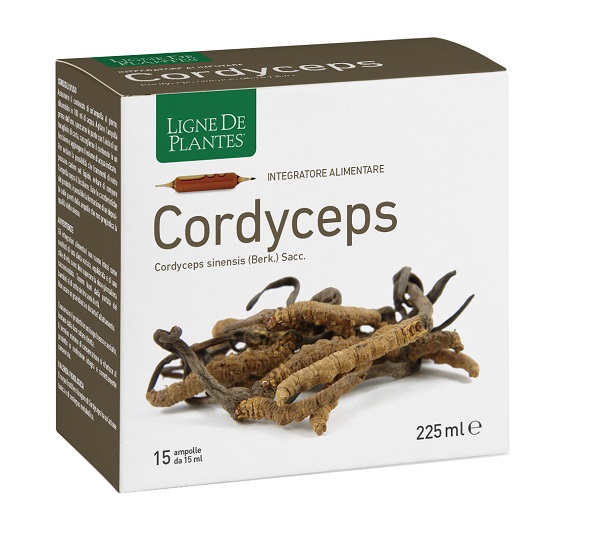 CORDYCEPS 15 AMPOLLE BEVIBILI DA 15 ML - Farmacia-flash.it