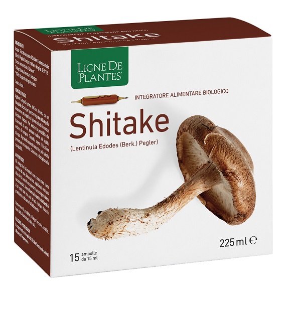 LIGNE DE PLANTES SHITAKE BIO 15 AMPOLLE DA 15 ML - Farmacia-flash.it
