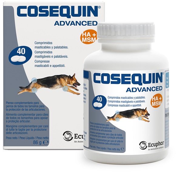 COSEQUIN GATTI 15 CAPSULE - Farmacia-flash.it
