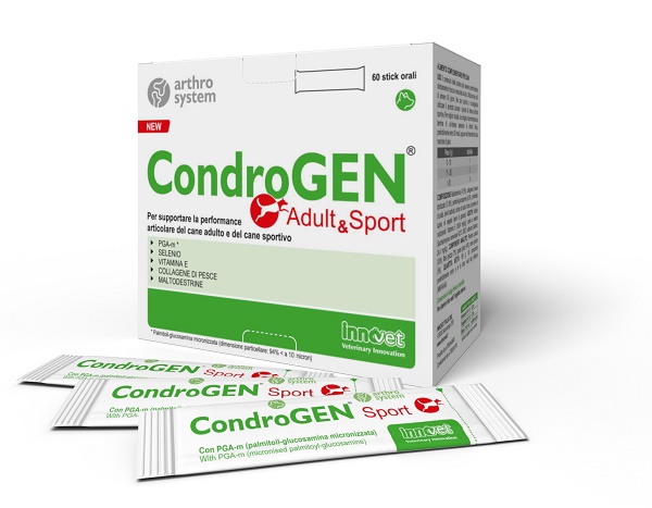CONDROGEN ADULT&SPORT 60 STICK - Farmacia-flash.it