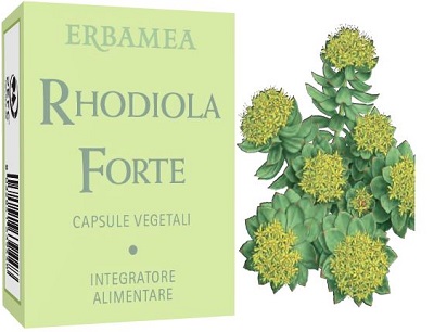 RHODIOLA FORTE 24 CAPSULE - Farmacia-flash.it