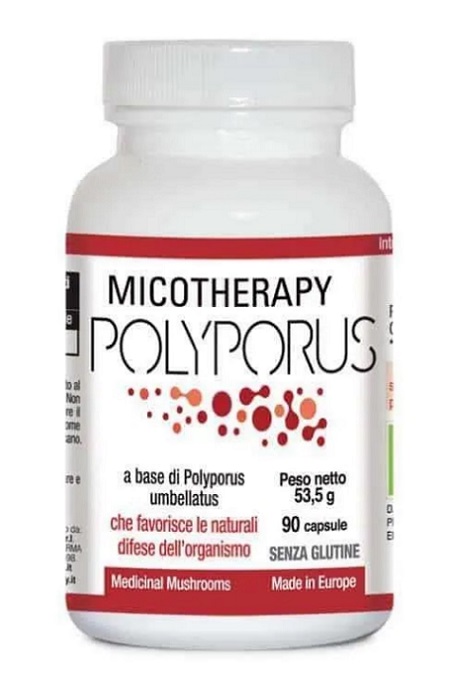 MICOTHERAPY POLYPORUS 90 CAPSULE - Farmacia-flash.it