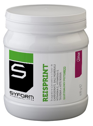 REISPRINT BERRIES 500 G - Farmacia-flash.it