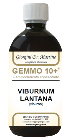 VIBURNO LIQUIDO ANALCOLICO GEMMO 10+ 500 ML - Farmacia-flash.it