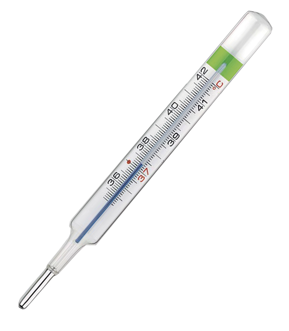 COLPHARMA THERMO GREEN PLUS TERMOMETRO - Farmacia-flash.it