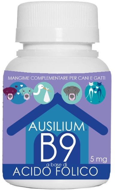AUSILIUM B9 VET ACIDO FOLICO 100 G - Farmacia-flash.it
