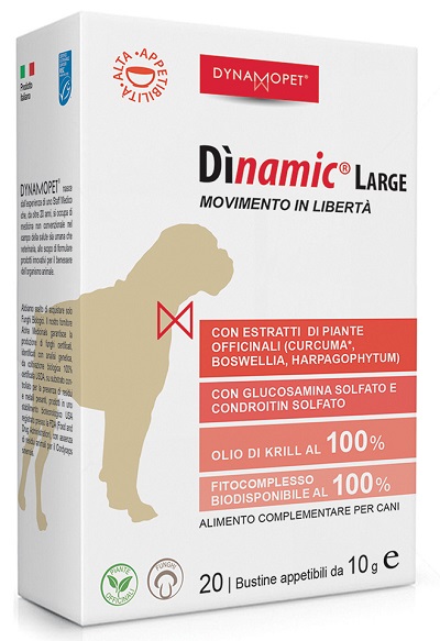 DINAMIC LARGE 20 BUSTINE 10 G - Farmacia-flash.it