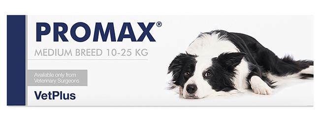 PROMAX MEDIUM BREED 18 ML - Farmacia-flash.it