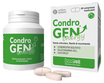 CONDROGEN ENERGY 60 COMPRESSE MASTICABILI - Farmacia-flash.it