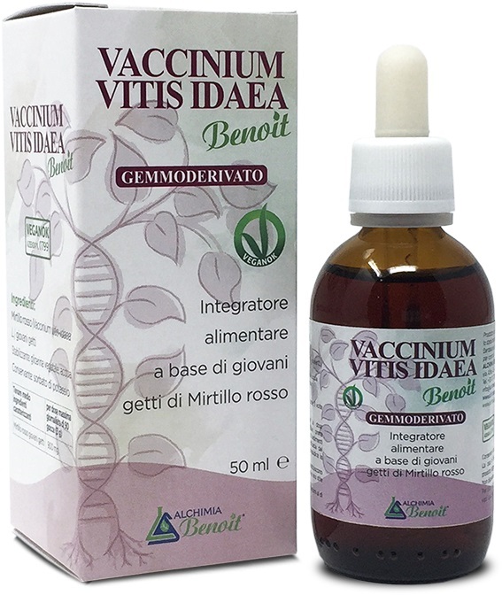 VACCINIUM VITIS IDAEA GEMMODERIVATO 50 ML - Farmacia-flash.it