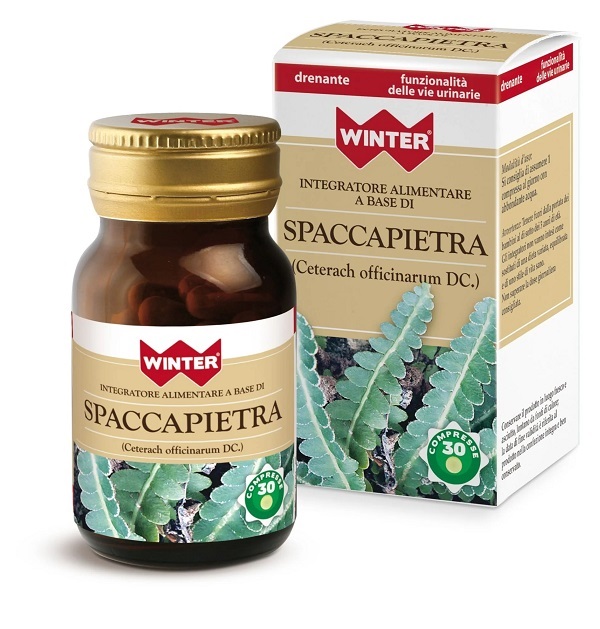 WINTER SPACCAPIETRA 30 COMPRESSE - Farmacia-flash.it