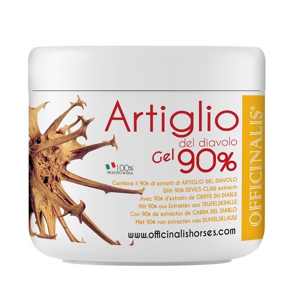 ARNICA GEL 90% 250 ML - Farmacia-flash.it
