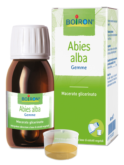 ABIES PECTINATA MACERATO GLICERICO 60 ML INT - Farmacia-flash.it